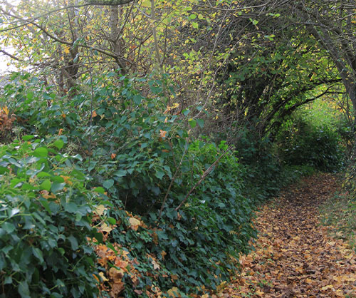 Existing Public Right of Way